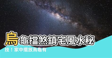 烏龜擋煞|【烏龜擋煞】烏龜的神奇風水效應！擋煞化煞、招財進寶，讓你家。